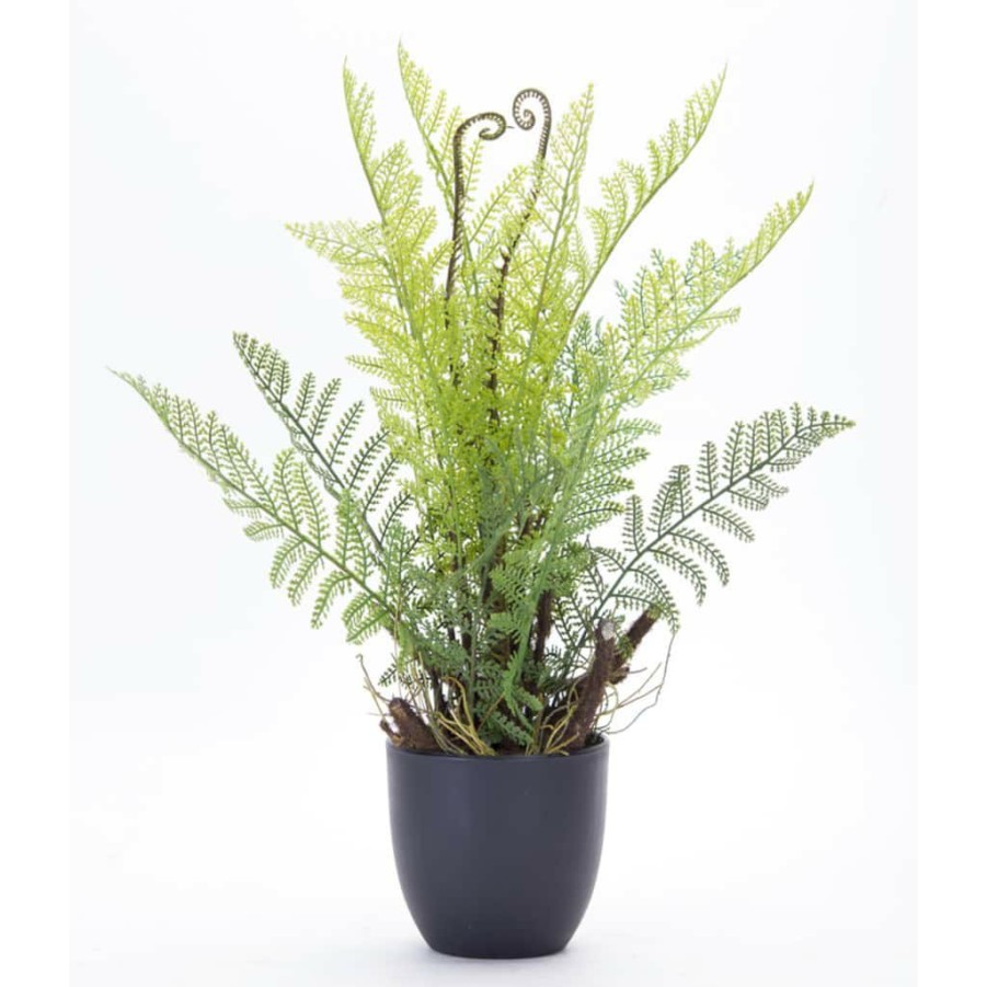 Floral * | Hot Sale 18 Potted Fern Set By Melrose