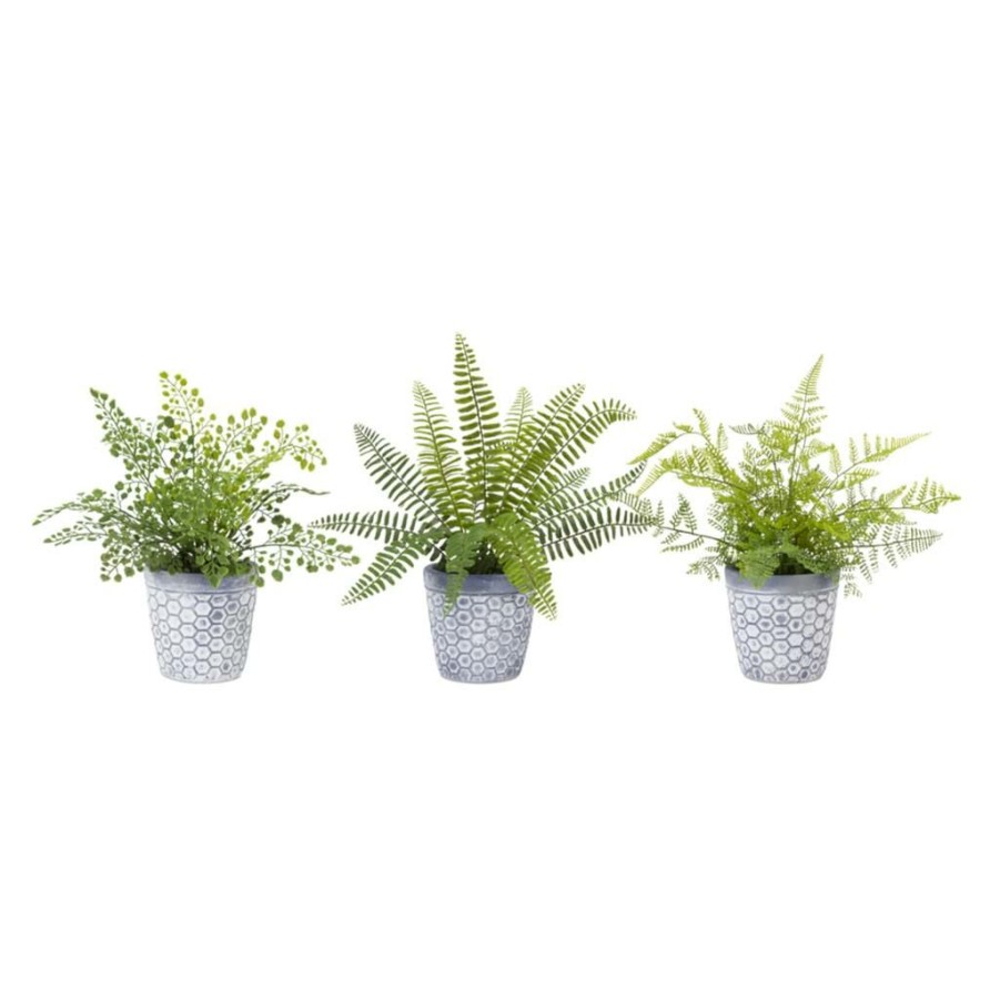 Floral * | New 11.5 Potted Fern Set By Melrose