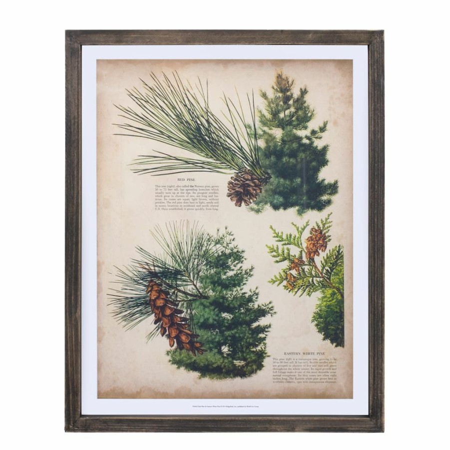 Holidays & Occasions * | Best Reviews Of 15.25 Pine Print Frame Set By Melrose