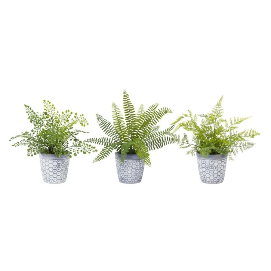 Floral * | New 11.5 Potted Fern Set By Melrose