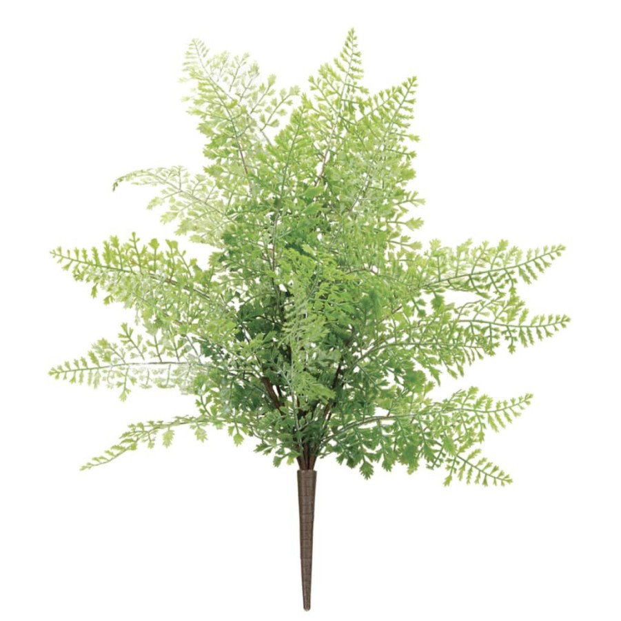 Floral * | Discount Fern Bush Set By Melrose