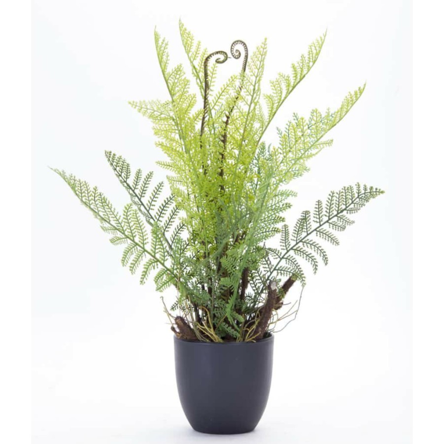 Floral * | Hot Sale 18 Potted Fern Set By Melrose